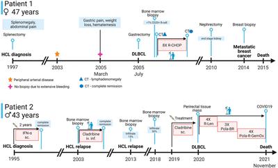 Case Report: Development of Diffuse Large B Cell Lymphoma a Long Time After Hairy Cell Leukemia